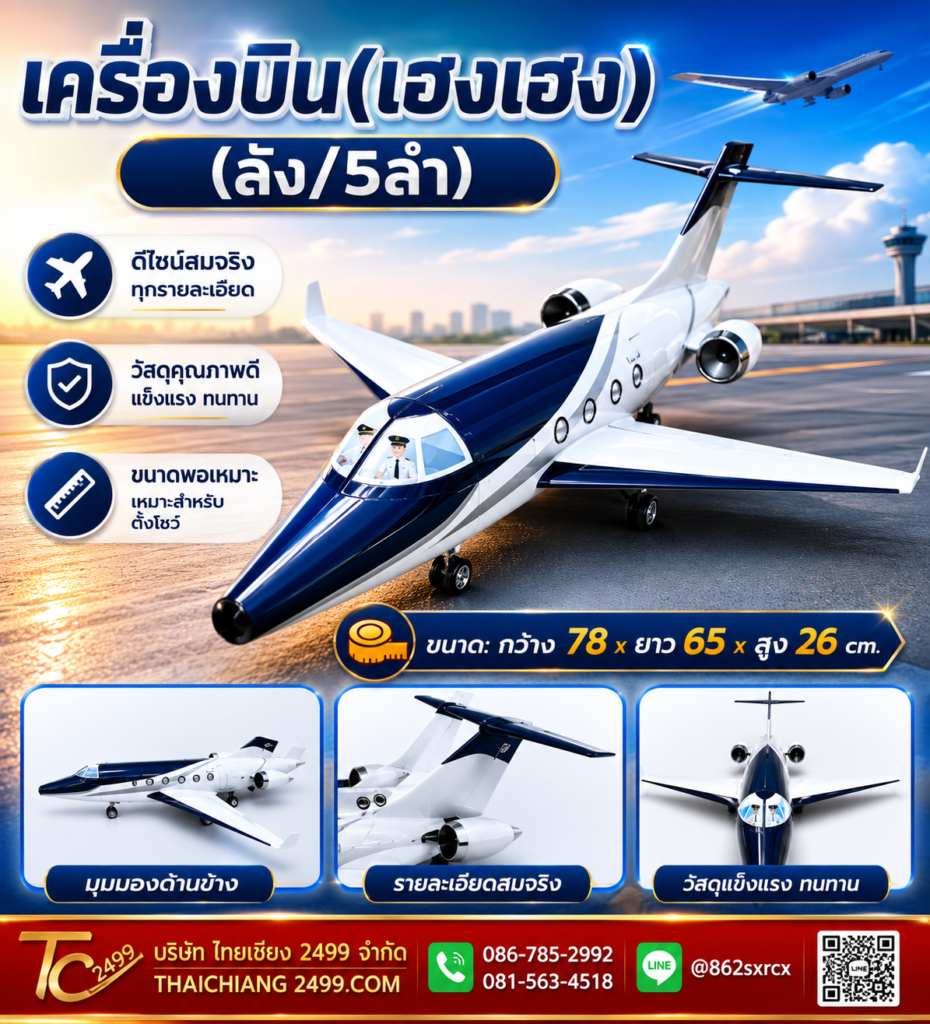 เครื่องบิน (เฮงเฮง)